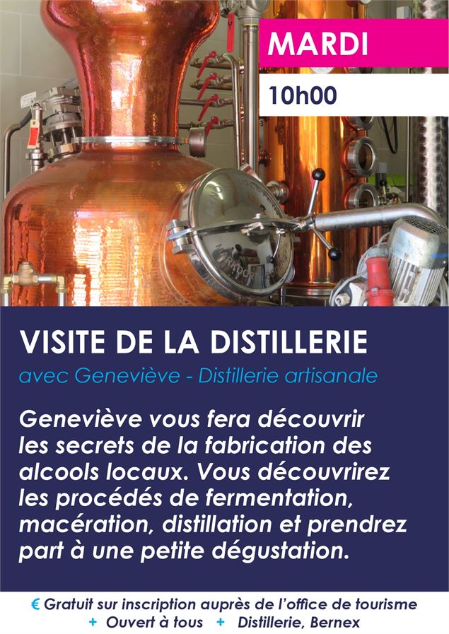 Affiche de l'animation - Bernex Mairie