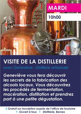 Affiche de l'animation - Bernex Mairie