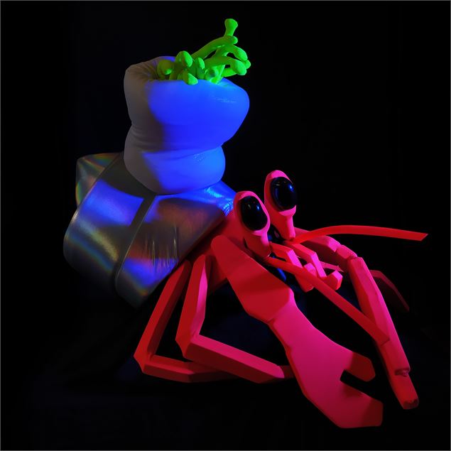 Allo Cosmos par Marc de Blanchard & Fanny Paris_Annecy