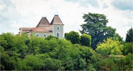 Château - Domaine de Sainte-Croix 
