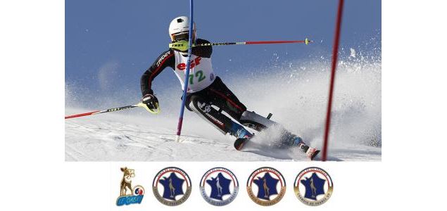 Test de ski niveau Chamois