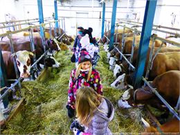 Rdo Panoramique + visite de la Ferme - Yves Vionnet