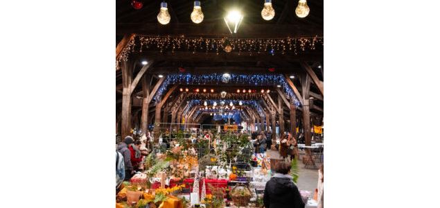 festi'marché - téléthon chatillon