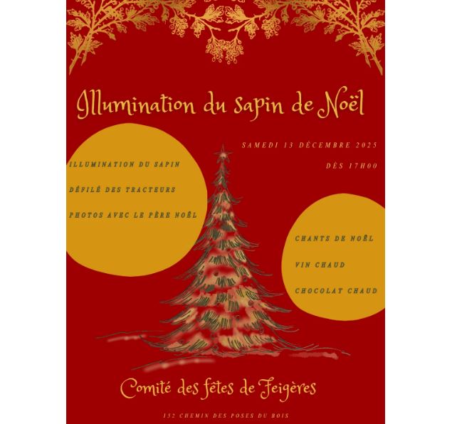 Illumination du Sapin de Noël_Feigères - Comité des fêtes de Feigères