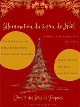 Illumination du Sapin de Noël_Feigères - Comité des fêtes de Feigères