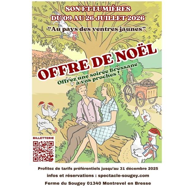 Affiche  Opération Spéciale Noël  Spectacle au Sougey - ©Les Amis du Sougey