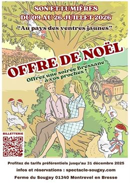 Affiche  Opération Spéciale Noël  Spectacle au Sougey - ©Les Amis du Sougey