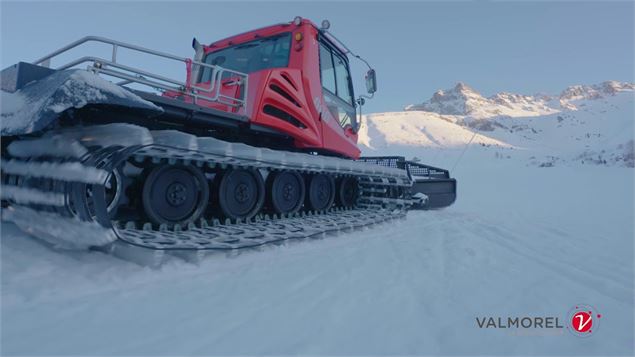 Passion damage - DSV