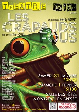 Affiche avec un crapaud - Cie Pâte à Trac