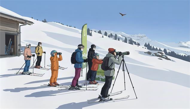 Illustration observation de la faune - OT Flaine