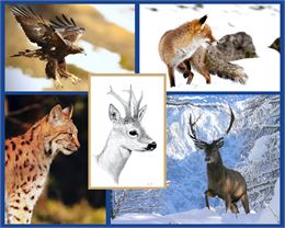 Exposition "La Face cachée du Mont-Blanc" au Centre Culturel de la Gorge_Les Contamines-Montjoie