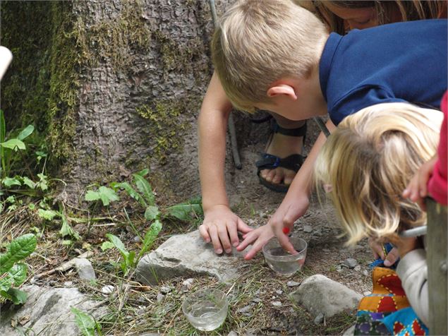 Rallye Nature - Activités - Thônes - Office de tourisme Thônes