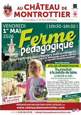 Ferme pédagogique et atelier démonstration pour les enfants : "Du mouton à la pelote de laine" - Dom