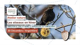 Les oiseaux en hiver - Fabrication de cône de graines_Argentière