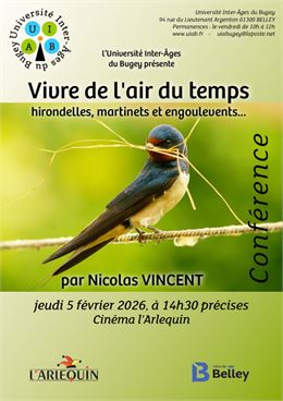 Conférence de l'UIAB : "Vivre de l'air du temps : hirondelles, martinets et engoulevents"_Belley - U