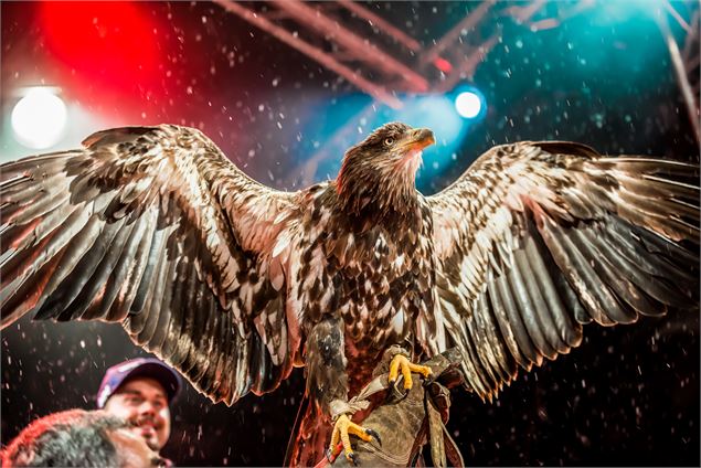 aigle de Val d'Isère - andyparrant