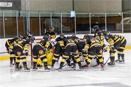 Les éléphants - Chambéry - Les Eléphants de Chambéry