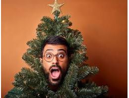 Concours du plus beau sapin de Noël vivant!_Le Corbier