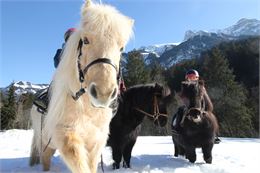 Carnaval au Centre équestre_Champéry