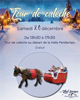 Tour de calèche à Divonne-les-Bains - service communication mairie