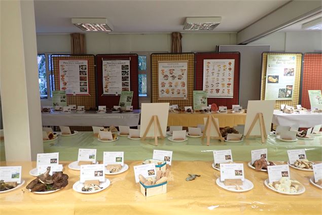 Exposition de champignons - Société d'Histoire Naturelle du Pays Rochois