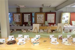 Exposition de champignons - Société d'Histoire Naturelle du Pays Rochois