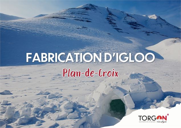 Fabrication d'igloo_Torgon