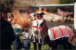 Noël au Château - SIMON DEPERNE