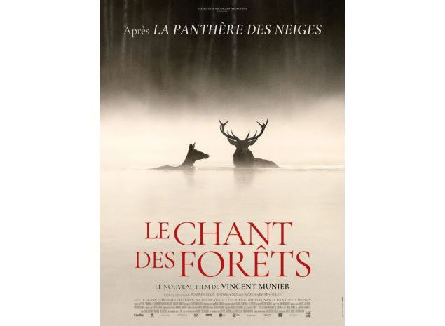 chant des forets - allo ciné