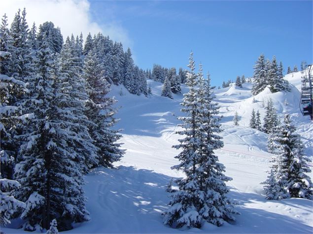 Rencontres Culturelles -Conférence de l'ANENA_Arêches-Beaufort - OTAB