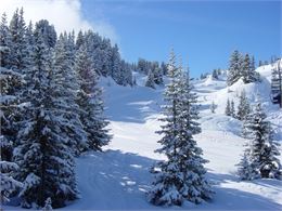 Rencontres Culturelles -Conférence de l'ANENA_Arêches-Beaufort - OTAB