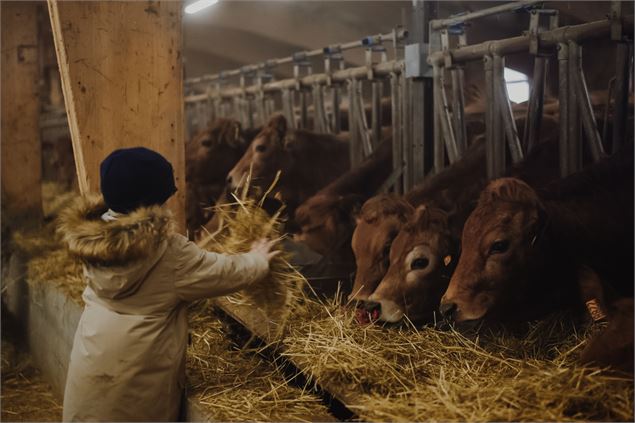 Visite de la ferme du GAEC Alpin - Elliot Gieu