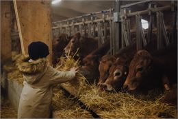 Visite de la ferme du GAEC Alpin - Elliot Gieu