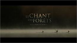 Le Chant des Forêts - Vincent Munier