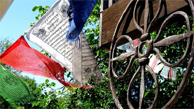 photo - ©Nechaev - Pixabay