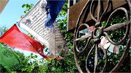 photo - ©Nechaev - Pixabay