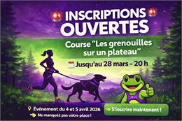 Affiche - Les Grenouilles sur un Plateau