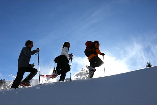 Sortie en raquettes - Raquettes Evasion