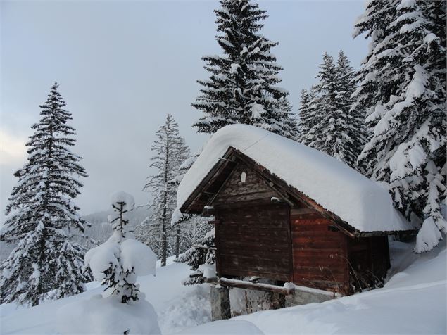 Visite guidée : il était une fois Courchevel, spéciale 80 ans - DD/FACIM