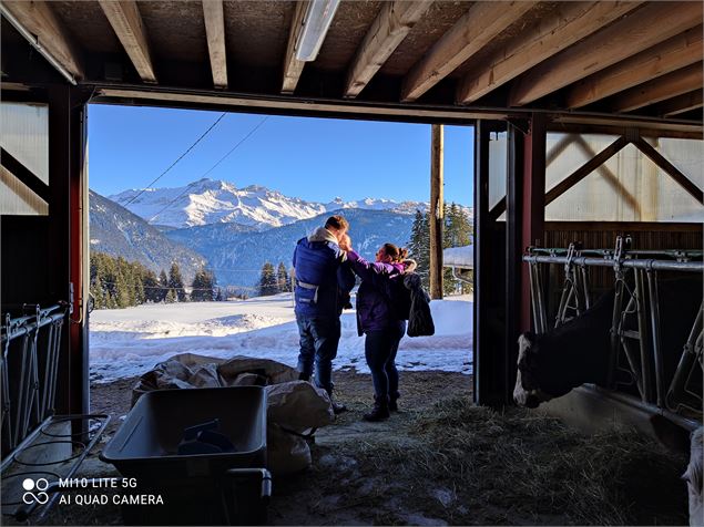 Vue de l'étable - Aline Ségalard