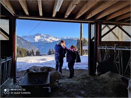 Vue de l'étable - Aline Ségalard