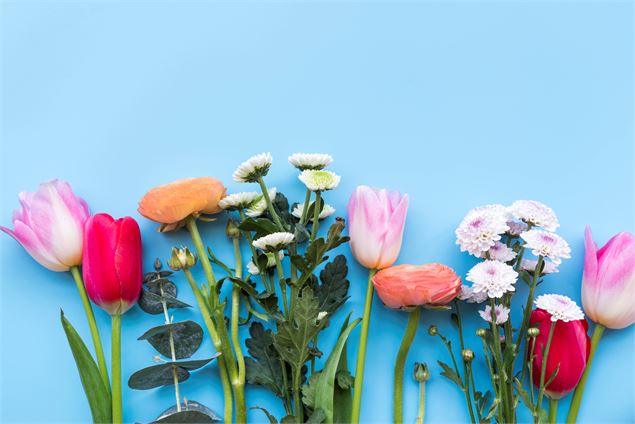 Fleurs - Freepik
