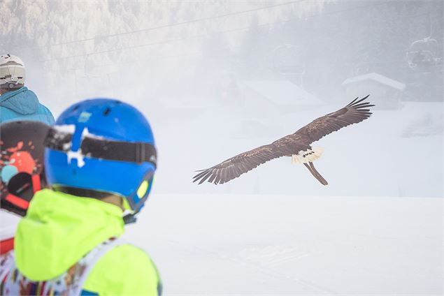 LA FAUCON GAGNE_Morzine - OT Morzine