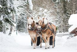 Le père Noël au Chamois_La Toussuire