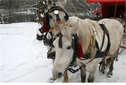 Calèche - Féerie de Noël_La Toussuire