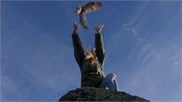 Ciné Nature : Animus Femina_Chambéry - Les films d'ici méditerranée