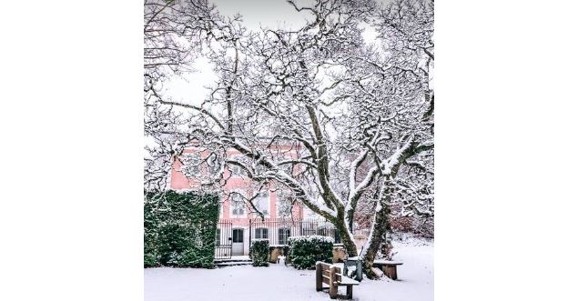 photo - ©Sophie Balaska