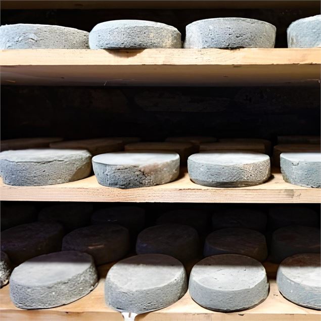 Visite expérience cave - Chez Pépé Nicolas