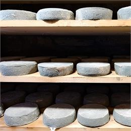 Visite expérience cave - Chez Pépé Nicolas