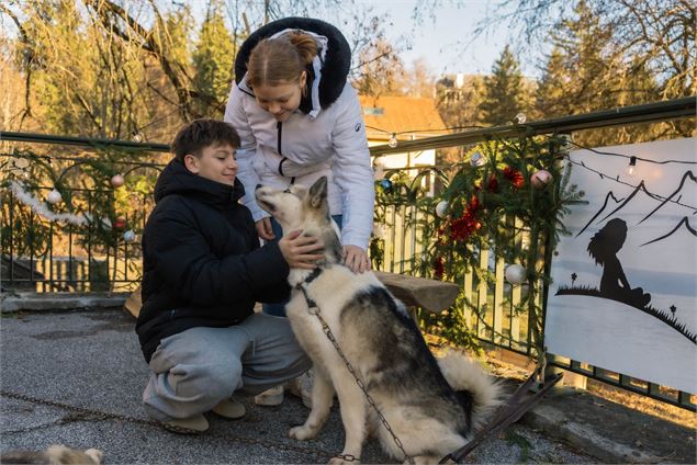 Sortie cani-balade face au Mont-Blanc_Passy - ot passy